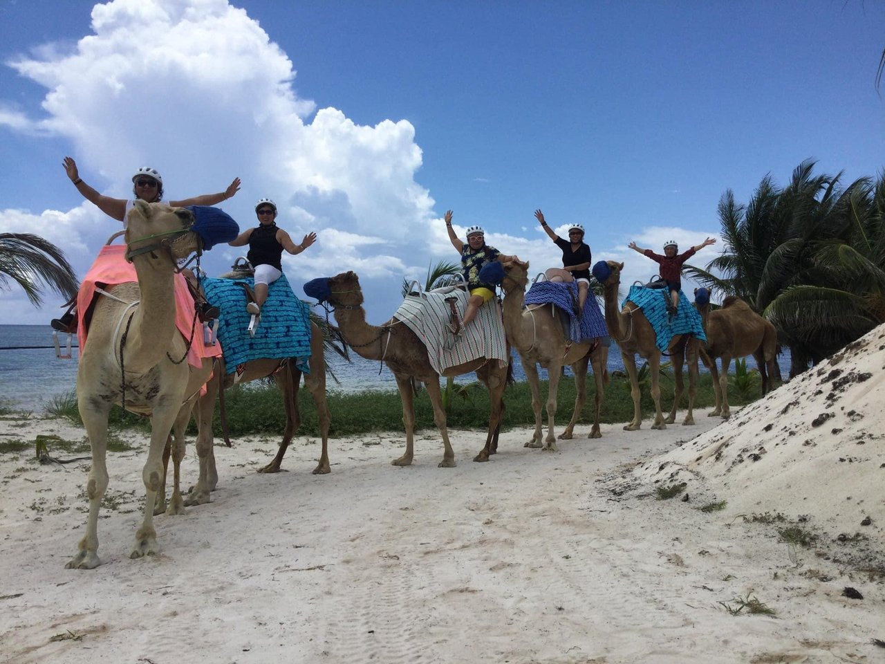 camel riding in cancun mexico